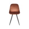 LABEL51 Eetkamerstoel Capri - Rust - Fluweel - Black Frame - Afbeelding 2