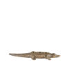 LABEL51 Krokodil - Antiek goud - Metaal - One Size - Afbeelding 5