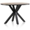 Bartafel Sardinie - Afbeelding 2