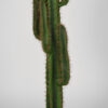 LABEL51 Cactus - Groen - Kunststof - 130 cm - Afbeelding 3