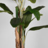 LABEL51 Musa - Groen - Kunststof - 180 cm - Afbeelding 4