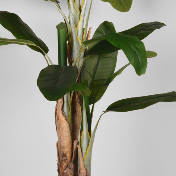 LABEL51 Musa - Groen - Kunststof - 180 cm - Afbeelding 4