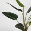 LABEL51 Strelitzia - Groen - Kunststof - 100 cm - Afbeelding 3