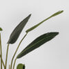 LABEL51 Strelitzia - Groen - Kunststof - 100 cm - Afbeelding 4